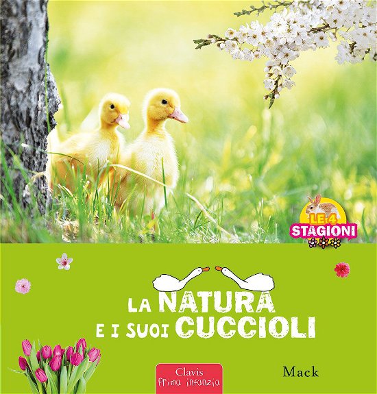Cover for Mack · La Natura E I Sui Cuccioli. Le 4 Stagioni. Ediz. A Colori (Bog)