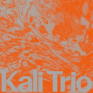 Kali Trio · The Playful Abstract (CD) (2025)