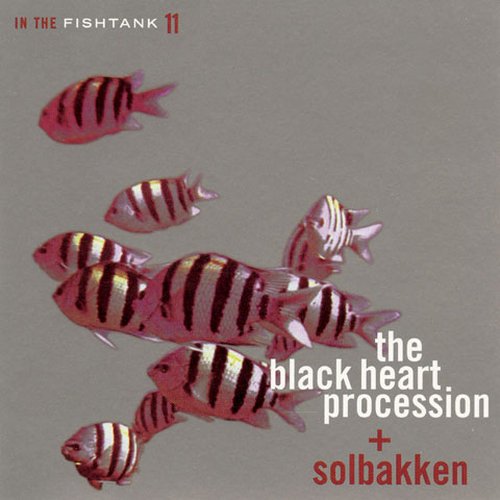 In The Fishtank - Black Heart Procession / Solbakken - Musik - IN THE FISHTANK - 0718752038553 - 16. april 2014