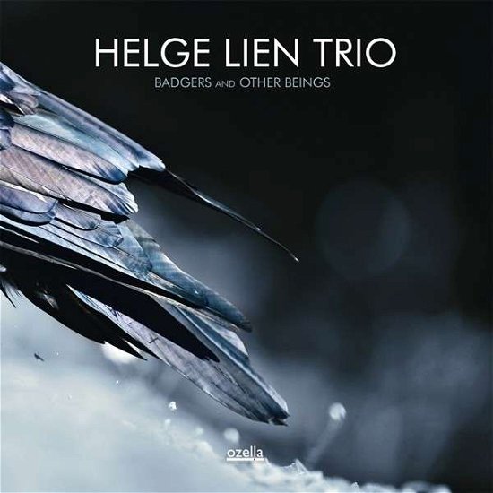 Cover for Helge -Trio- Lien · Badgers &amp; Other Beings (CD) [Digipak] (2014)