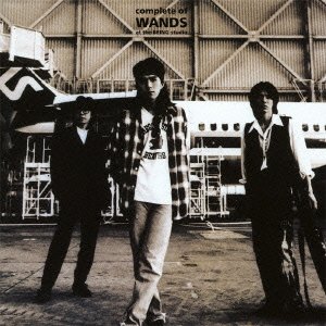 Cover for Wands · Complete of Wands at the Being Studio &lt;limited&gt; (CD) [Japan Import edition] (2012)