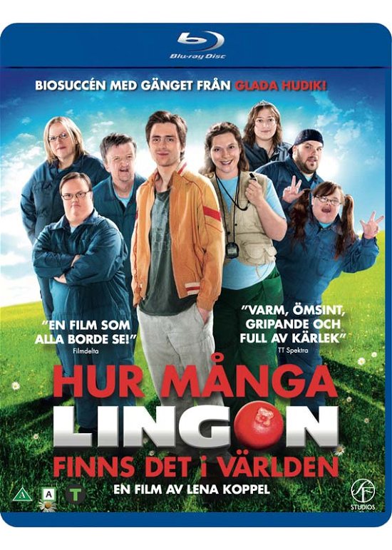 Hur Många Kramar Finns 2 (Blu-ray) (2022)