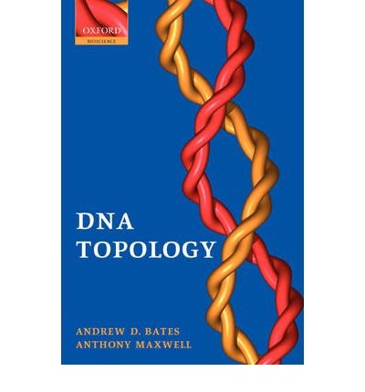 Cover for Bates, Andrew D. (School of Biological Sciences, University of Liverpool, UK) · DNA Topology (Paperback Bog) [2 Rev edition] (2005)