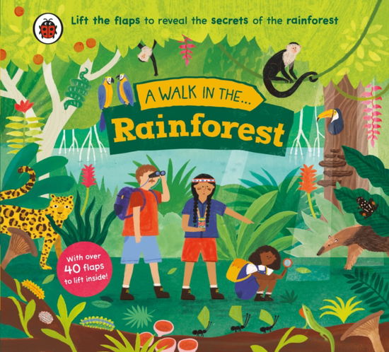 Cover for Ladybird · A Walk in the Rainforest - A Walk in... (Board book) (2025)