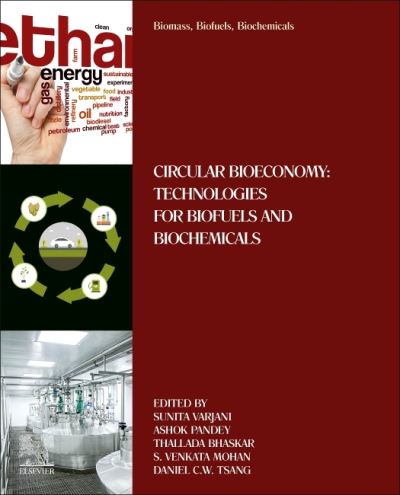 Cover for Biomass, Biofuels, Biochemicals: Circular Bioeconomy: Technologies for Biofuels and Biochemicals (Paperback Book) (2021)