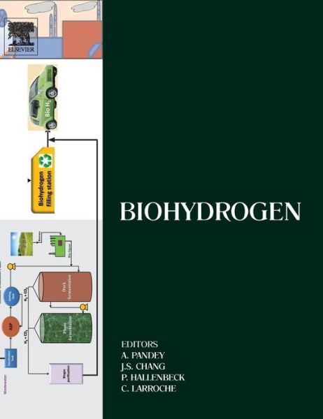 Cover for Ashok Pandey · Biohydrogen - Biomass, Biofuels, Biochemicals (Inbunden Bok) (2013)