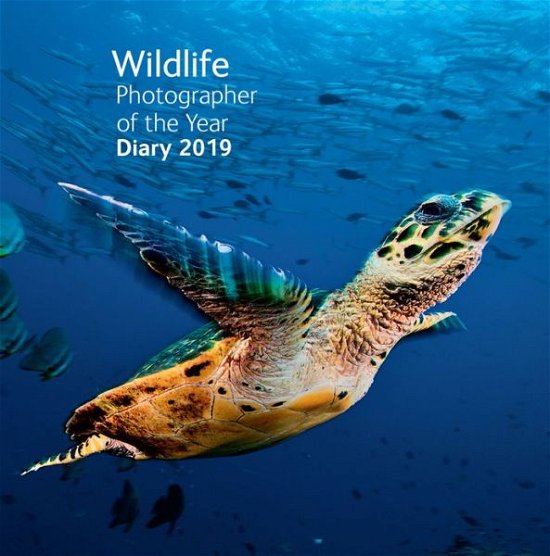 Cover for Natural History Museum · Wildlife Photographer of the Year Pocket Diary 2019 (Hardcover Book) (2018)