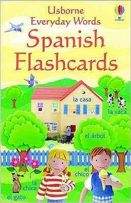 Cover for Felicity Brooks · Everyday Words in Spanish Flashcards - Everyday Words Flashcards (Flashcards) [New edition] (2005)