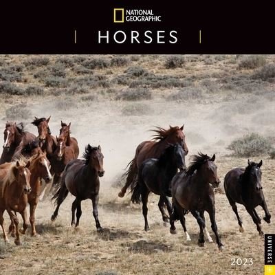 National Geographic: Horses 2023 Wall Calendar - National Geographic - Merchandise - Universe Publishing - 9780789342553 - 13. september 2022