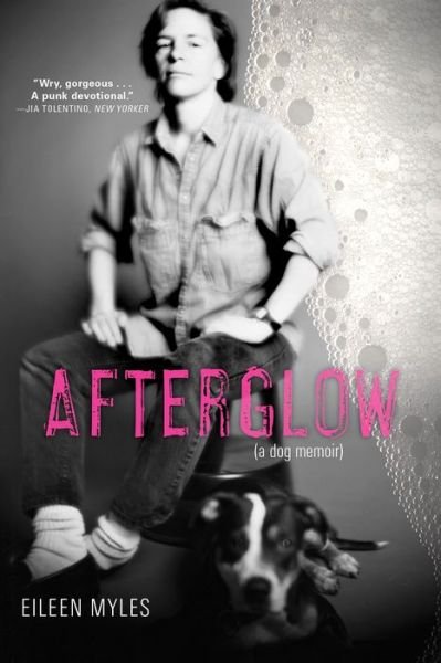 Cover for Eileen Myles · Afterglow (Paperback Bog) (2018)