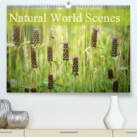 Cover for Davies · Natural World Scenes (Premium, h (Bok)
