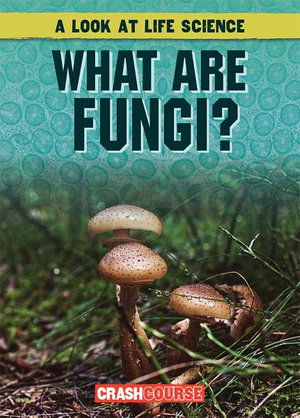 Cover for Kate Mikoley · What Are Fungi? (Paperback Book) (2019)