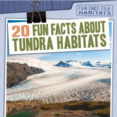 Cover for Kate Mikoley · 20 Fun Facts About Tundra Habitats (Hardcover Book) (2021)