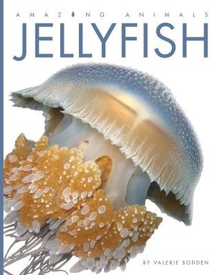 Cover for Valerie Bodden · Jellyfish (Hardcover Book) (2017)