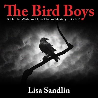 Cover for Lisa Sandlin · The Bird Boys Lib/E (CD) (2019)