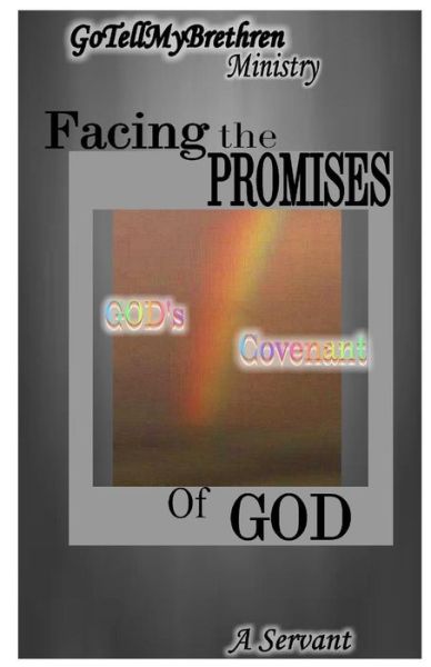 Cover for A Servant · Facing the Promises of GOD's (Paperback Book) (2018)