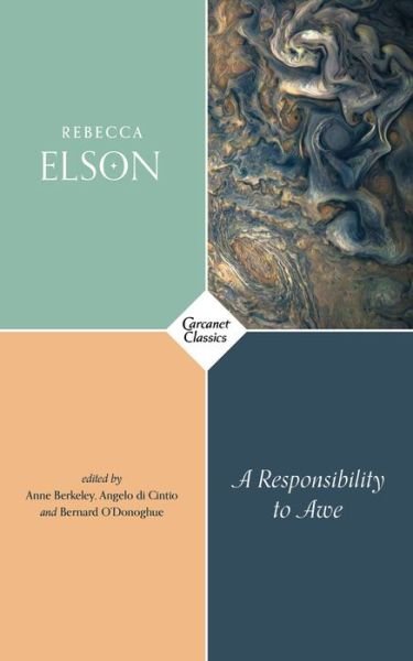 Cover for Rebecca Elson · A Responsibility to Awe (Paperback Book) [New edition] (2018)