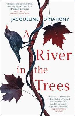 Cover for Jacqueline O'Mahony · A River in the Trees (Paperback Book) (2019)