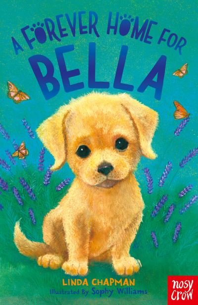 Cover for Linda Chapman · A Forever Home for Bella - Forever Homes (Paperback Book) (2021)