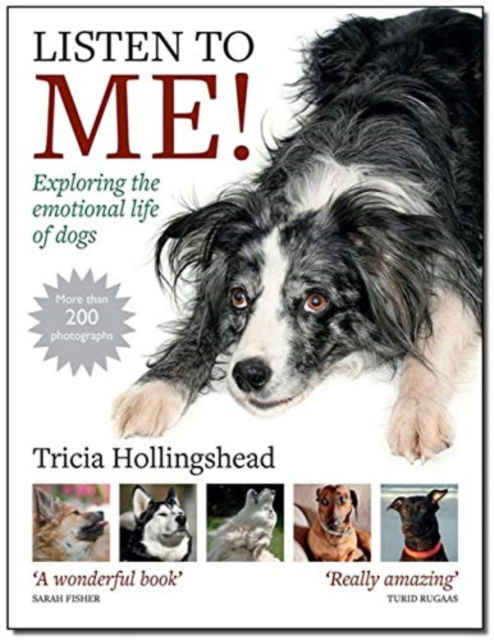 Cover for Patricia Hollingshead · Listen To Me!: Exploring the emotional life of dogs (Paperback Book) (2020)