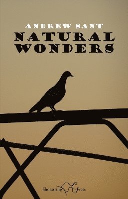 Cover for Andrew Sant · Natural Wonders (Paperback Book) (2024)