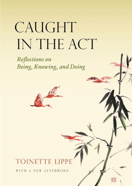 Caught in the Act: Reflections on Being, Knowing and Doing - Toinette Lippe - Książki - Monkfish Book Publishing Company - 9781939681553 - 6 października 2016