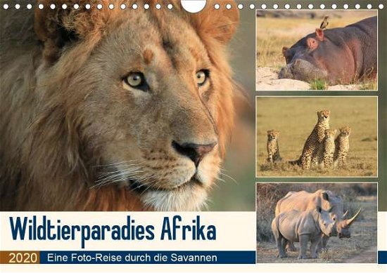 Cover for Herzog · Wildtierparadies Afrika - Eine F (Bog)