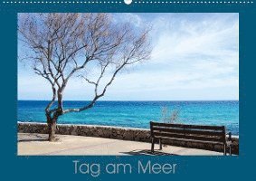 Cover for Witzel · Tag am Meer (Wandkalender 2020 D (Book)