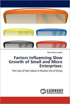 Cover for Bilha Sesia Ludeki · Factors Influencing Slow Growth of Small and Micro Enterprises:: the Case of Hair Salons in Kisumu City of Kenya (Paperback Book) (2012)