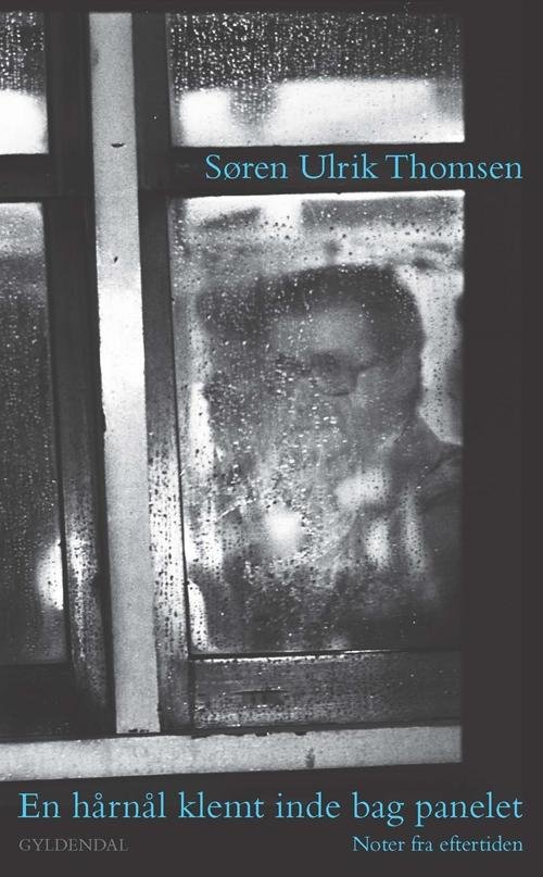 Cover for Søren Ulrik Thomsen · En hårnål klemt inde bag panelet (Heftet bok) [1. utgave] (2016)