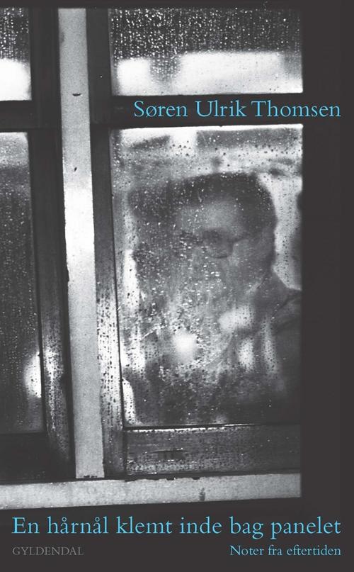 Cover for Søren Ulrik Thomsen · En hårnål klemt inde bag panelet (Taschenbuch) [1. Ausgabe] (2016)