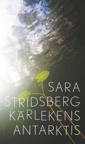 Cover for Sara Stridsberg · Kärlekens Antarktis (ePUB) (2018)