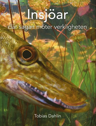 Cover for Tobias Dahlin · Insjöar : där sagan möter verkligheten (Hardcover Book) [Ned edition] (2017)