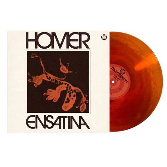 Cover for Homer · Ensatina (Ltd Orange Vinyl) (LP) (2024)