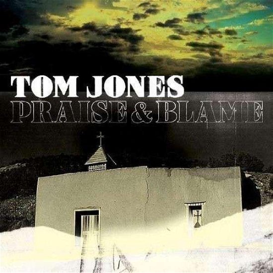 Cover for Tom Jones · Praise and Blame (LP) (2010)