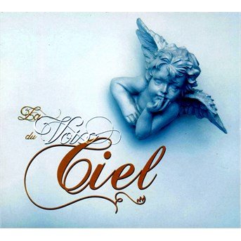 Cover for Rouger Paul · La Voix Du Ciel (CD) (2014)