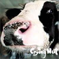 Cover for Crying Nut · Ok Cow of Pasture (CD) (2011)