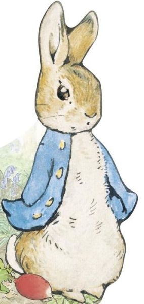 All about Peter - Beatrix Potter - Bøger - Penguin Young Readers Group - 9780241324554 - 9. januar 2018