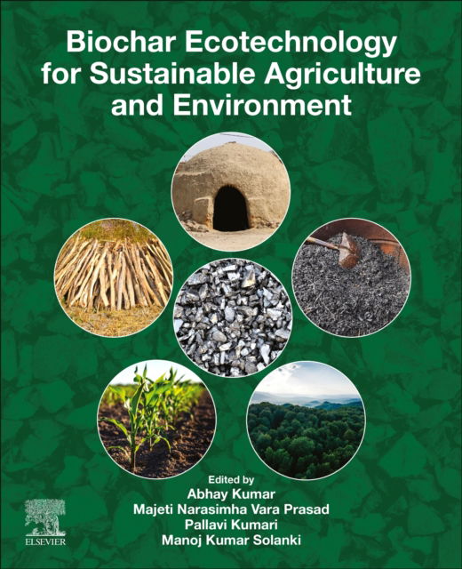 Biochar Ecotechnology for Sustainable Agriculture and Environment -  - Böcker - Elsevier - Health Sciences Division - 9780443298554 - 1 februari 2025