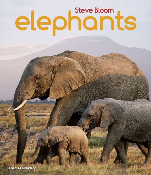 Cover for Steve Bloom · Elephants (Taschenbuch) (2015)