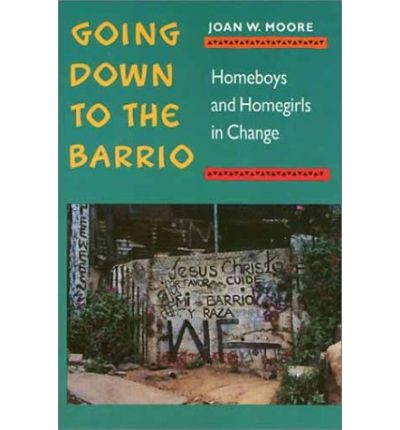 Cover for Joan Moore · Going Down To The Barrio: Homeboys and Homegirls in Change (Paperback Book) (1991)