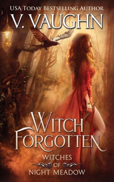 Cover for V Vaughn · Witch Forgotten - Witches of Night Meadow (Paperback Book) (2019)