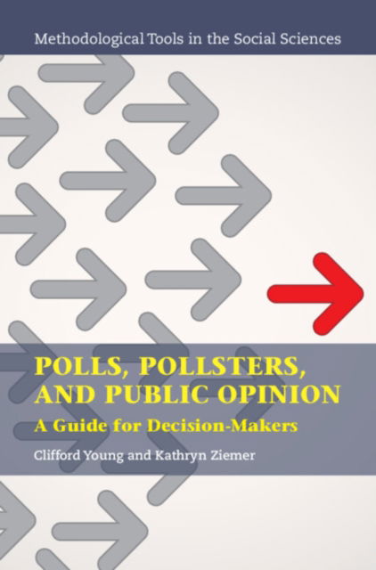 Cover for Young, Clifford (Ipsos Public Affairs) · Polls, Pollsters, and Public Opinion: A Guide for Decision-Makers - Methodological Tools in the Social Sciences (Hardcover Book) (2024)