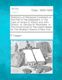 Cover for P Cagger · Testimony of Witnesses Examined on the Part of the Defendant, in the Case of James G. Wilson and John Gibson, vs. George W. Beardslee, in the Circuit (Paperback Bog) (2012)