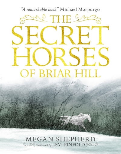 Cover for Megan Shepherd · The Secret Horses of Briar Hill (Paperback Book) (2017)