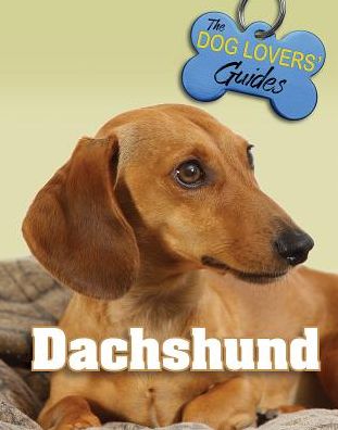 Cover for Jennifer Lowe · Dachshund - Dog Lover's Guides (Hardcover Book) (2017)