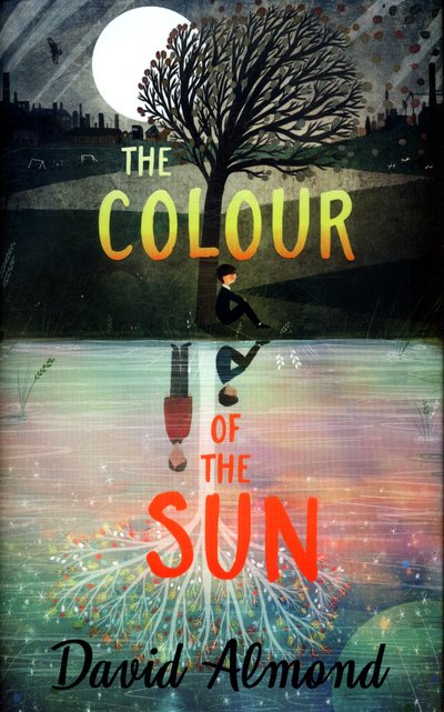 Cover for David Almond · The Colour of the Sun (Hardcover Book) (2018)