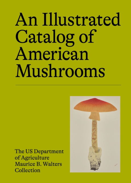 Cover for US Department of Agriculture's Maurice B. Walters Collection · An Illustrated Catalog of American Mushrooms (Innbunden bok) (2025)