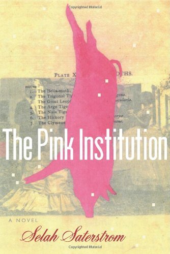 Cover for Selah Saterstrom · The Pink Institution (Paperback Book) [1st Edition, edition] (2004)
