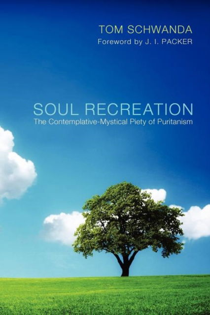 Cover for Tom Schwanda · Soul Recreation (Paperback Book) (2012)